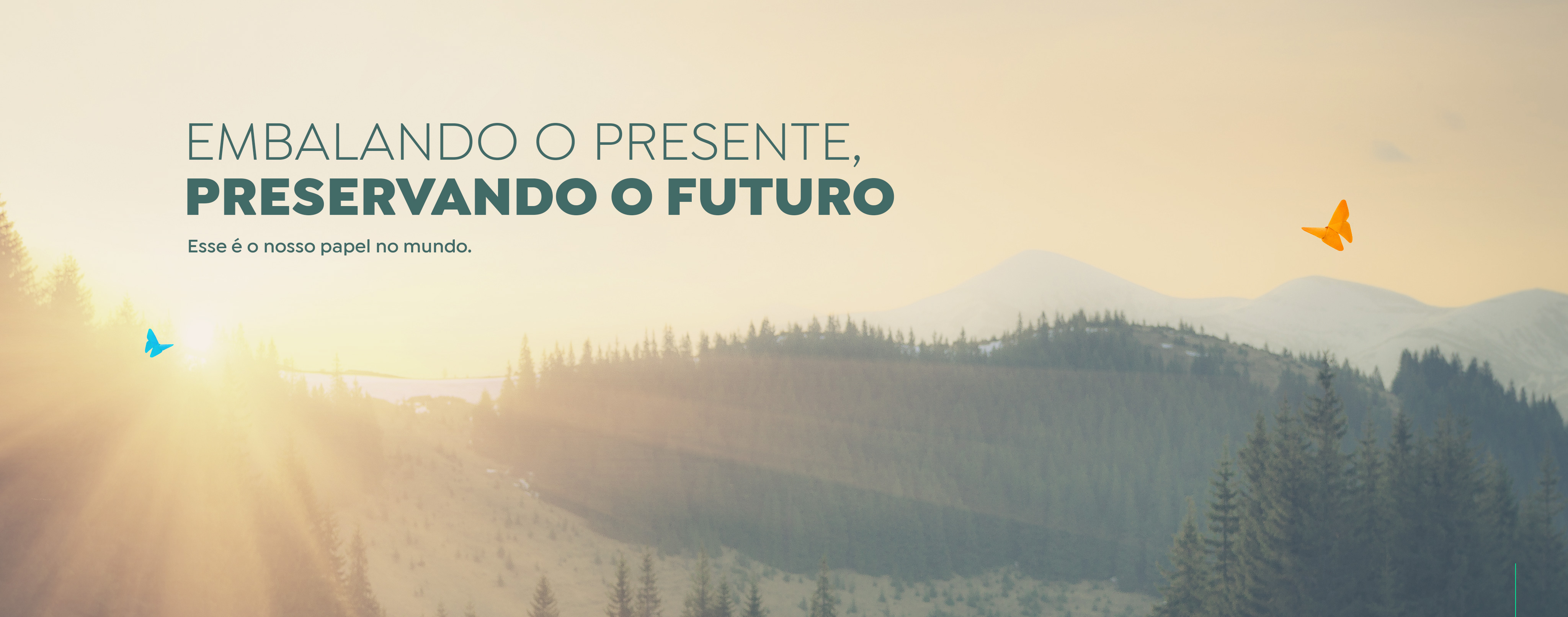 Embalando o presente, preservando o futuro. Esse é o nosso papel no mundo.